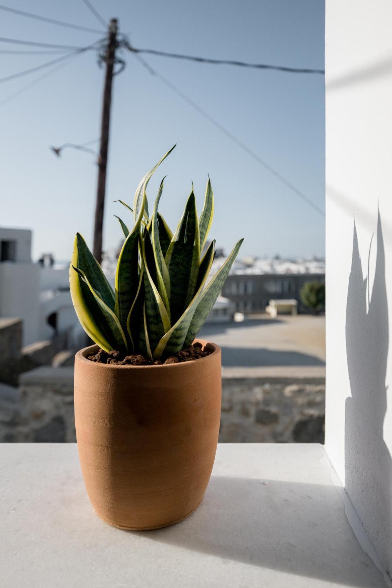 37 2 Heaven Apartment Naxos City Екстериор снимка